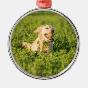 Ornamento metalizado con imagen de Golden Retrieve