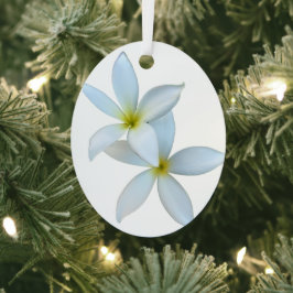 Ornamento Metalizado en la flor de Plumeria blanca