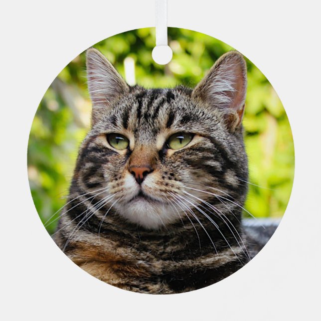 Ornamento Metalizado Gris Tabby Cat (Reverso )