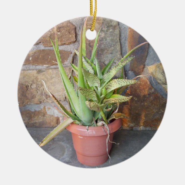 Ornamento muy conmemorativo de Aloe (Frente)