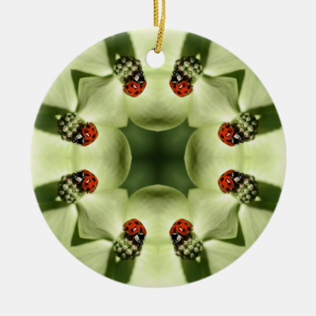 Ornamento natural de Kaleidoscope de Ladybug (Frente)