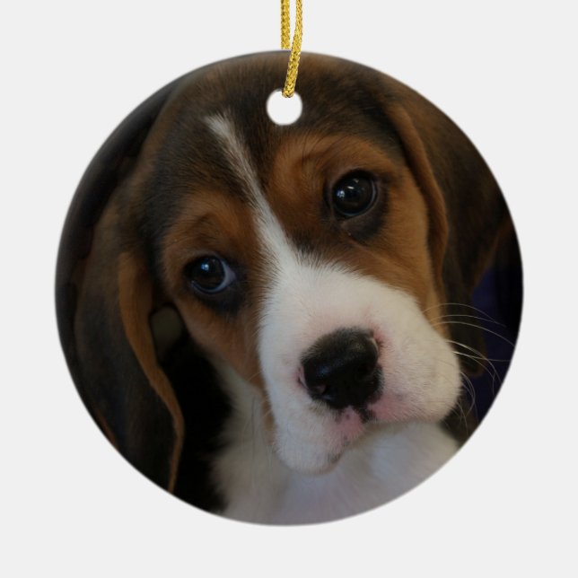 Ornamento navideño beagle (Frente)