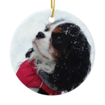 Ornamento navideño Cavalier King Charles Spaniel