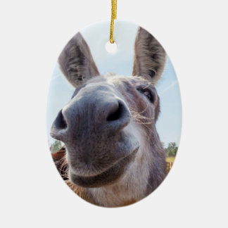 Ornamento navideño de burro sonriente