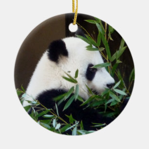 Ornamento navideño de cerámica Panda Bear