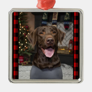 Ornamento navideño de Chocolate Lab