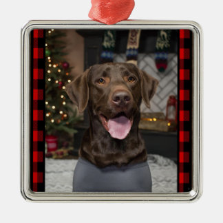 Ornamento navideño de Chocolate Lab