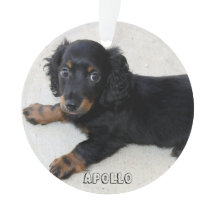 Ornamento navideño de Dachshund Acrílico Añadir fo