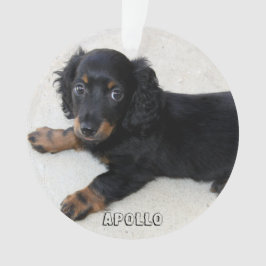 Ornamento navideño de Dachshund Acrílico Añadir fo