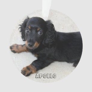 Ornamento navideño de Dachshund Acrílico Añadir fo