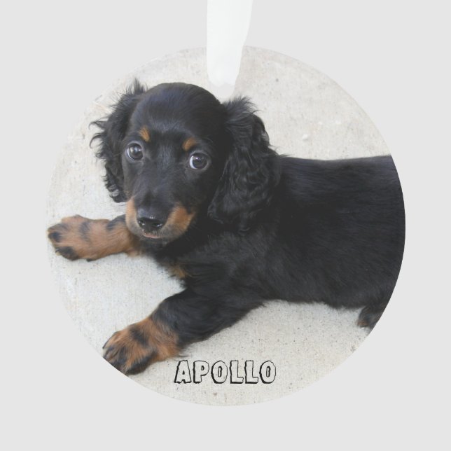 Ornamento navideño de Dachshund Acrílico Añadir fo (Anverso)