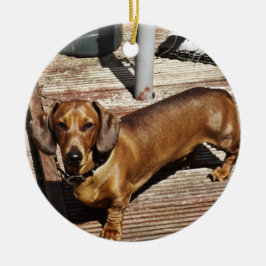 Ornamento navideño de Dachshund Añadir tu foto