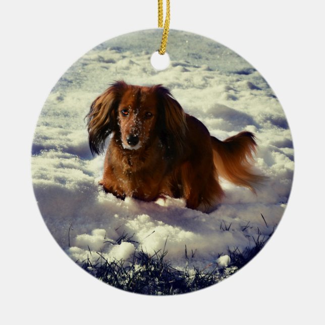 Ornamento navideño de Dachshund con foto (Frente)