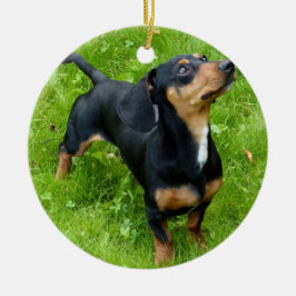 Ornamento navideño de Dachshund con tu foto