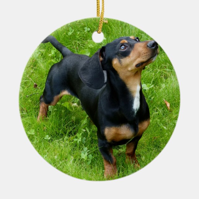 Ornamento navideño de Dachshund con tu foto (Frente)