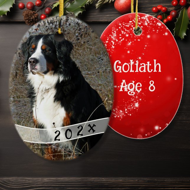 Ornamento navideño de fotos de perro de ovario (Subido por el creador)