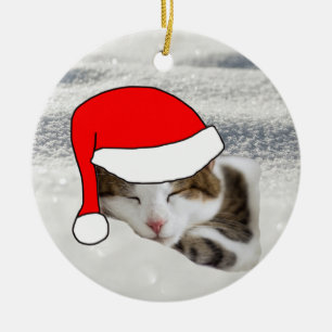 Ornamento navideño de gatitos de Santa Hat durmien