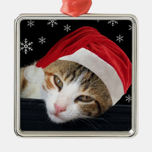 Ornamento navideño de gato (Frente)