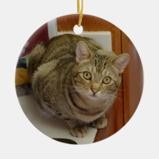 Ornamento navideño de gato tabby marrón