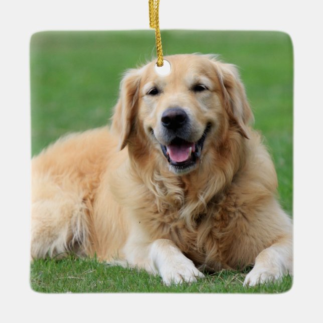 Ornamento navideño de Golden Retriever (Anverso)