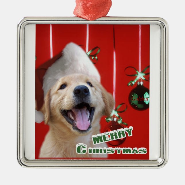 Ornamento navideño de Golden Retriever (Frente)