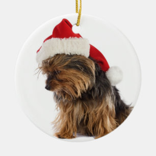 Ornamento navideño de mal Yorkie