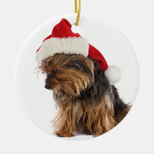 Ornamento navideño de mal Yorkie (Frente)