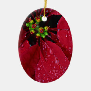 Ornamento navideño de Poinsettia