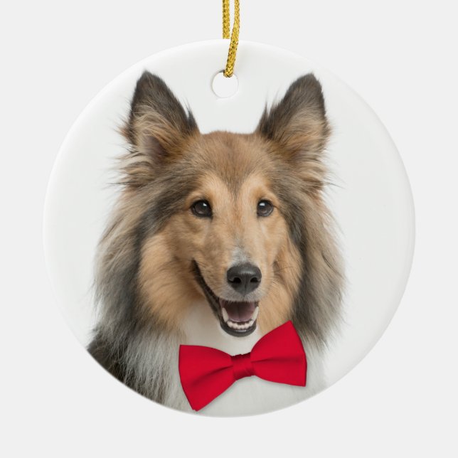Ornamento navideño de Sheltie (Frente)