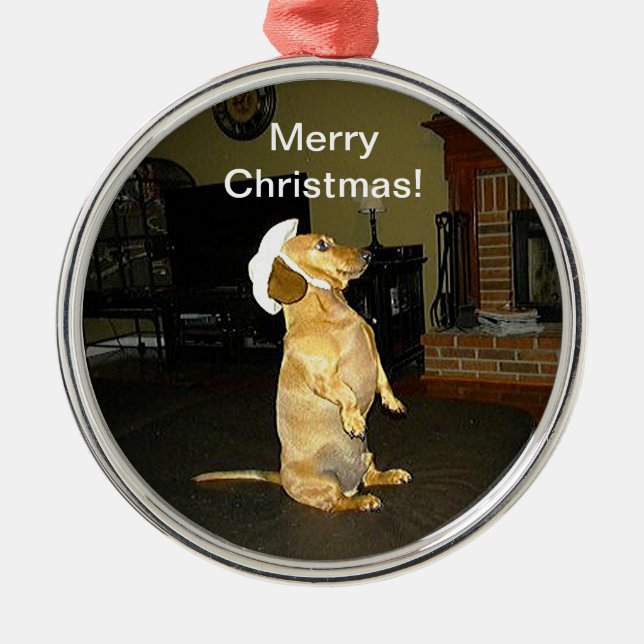 Ornamento navideño de Sitting Bonito Dachshund (Frente)