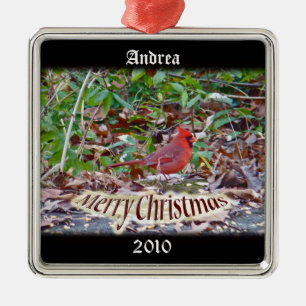 Ornamento navideño del cardenal Merry para persona