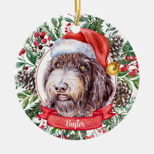 Ornamento navideño del Personalizado de punteros c (Frente)