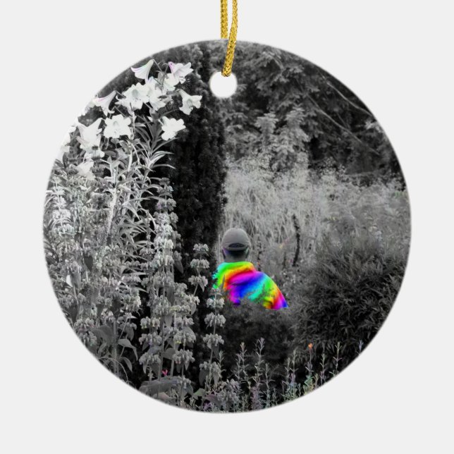 Ornamento navideño del Rainbow Garden Visitantes (Frente)