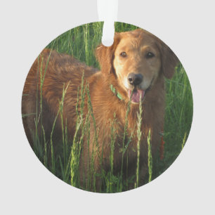 Ornamento navideño dorado