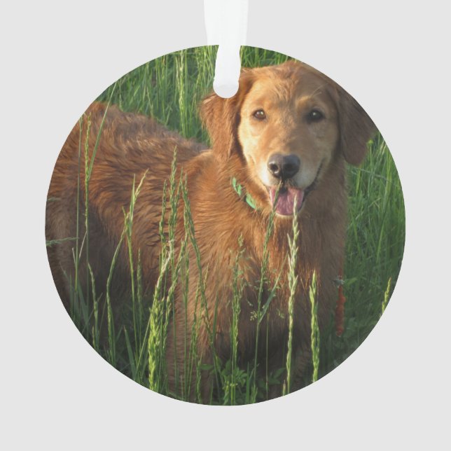 Ornamento navideño dorado (Reverso)