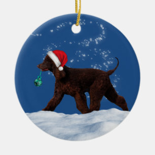 Ornamento navideño irlandés del español del agu