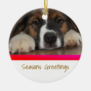 Ornamento navideño Mascota personalizado