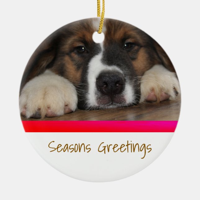 Ornamento navideño Mascota personalizado (Frente)