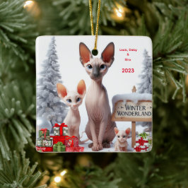 Ornamento navideño personalizado de la familia Sph