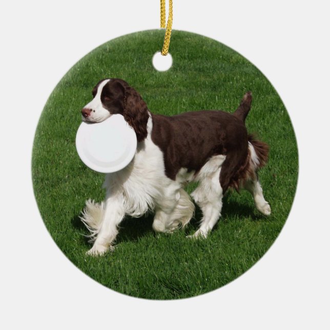 Ornamento navideño Springer Spaniel (Frente)
