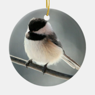 ornamento Negro-capsulado del Chickadee