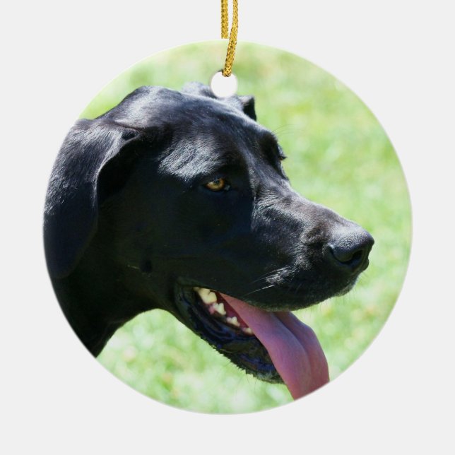 Ornamento negro de great dane (Frente)