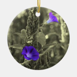 Ornamento negro de la flor blanca de las