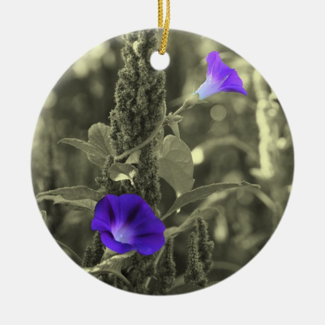 Ornamento negro de la flor blanca de las (Frente)