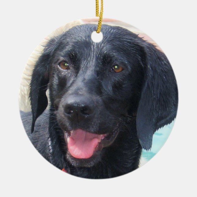 Ornamento negro de Labrador (Frente)