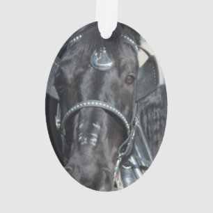 Ornamento negro del caballo