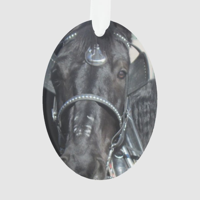 Ornamento negro del caballo (Reverso)