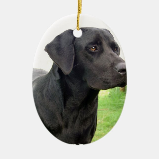 Ornamento negro del labrador retriever (Frente)
