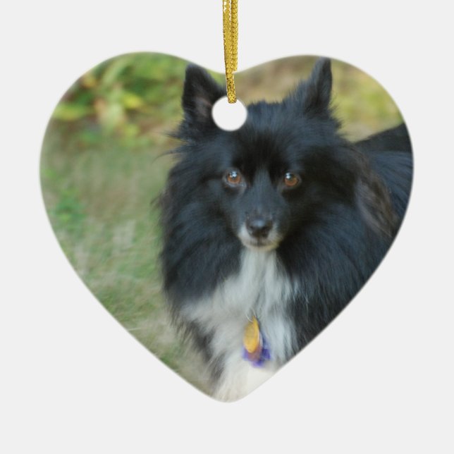 Ornamento negro del perro de Pomeranian (Frente)