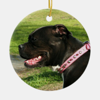 Ornamento negro del pitbull